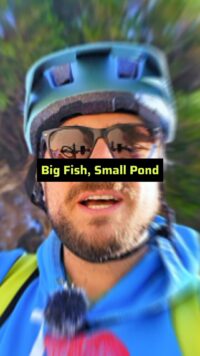 vertical thumbnail big fish, small pond